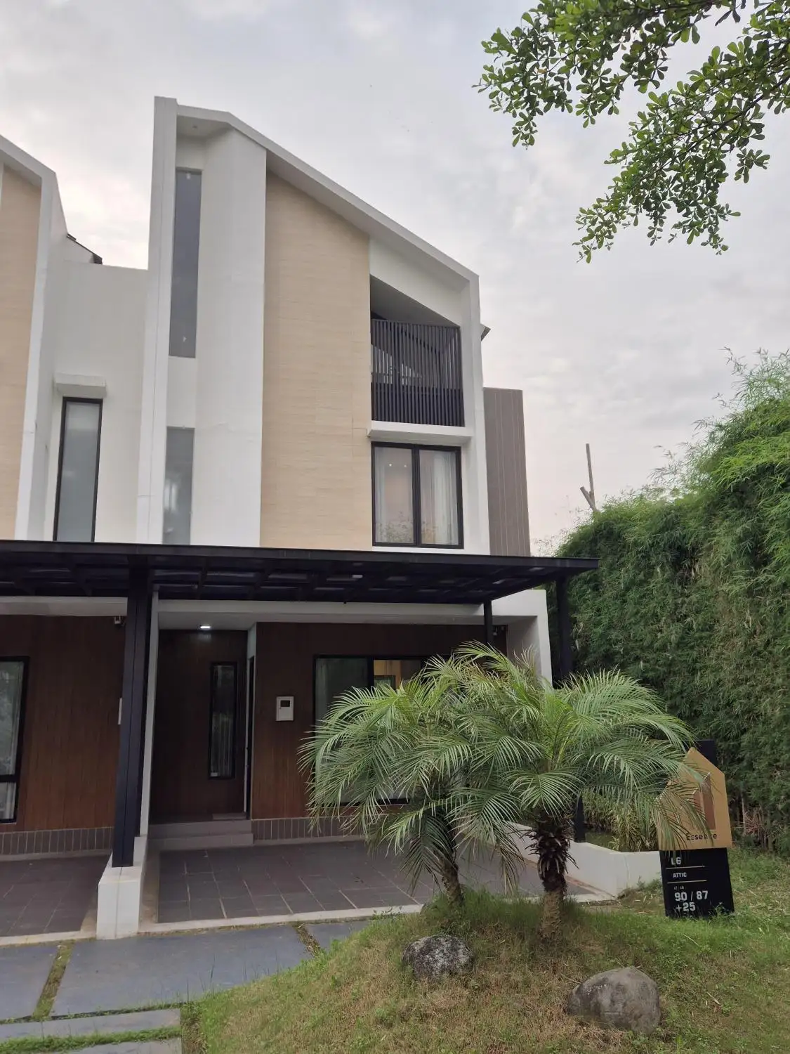 The-Essence-L6-Alamanda-Zebrina-1