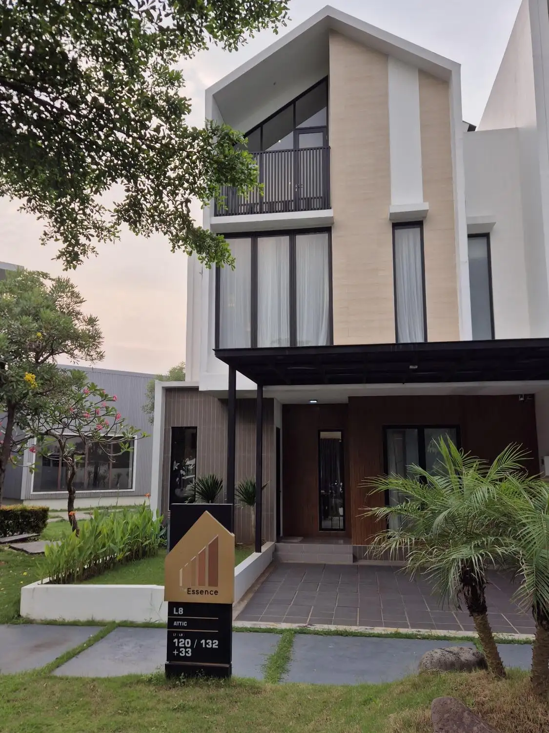 The-Essence-L8-Alamanda-Zebrina-2